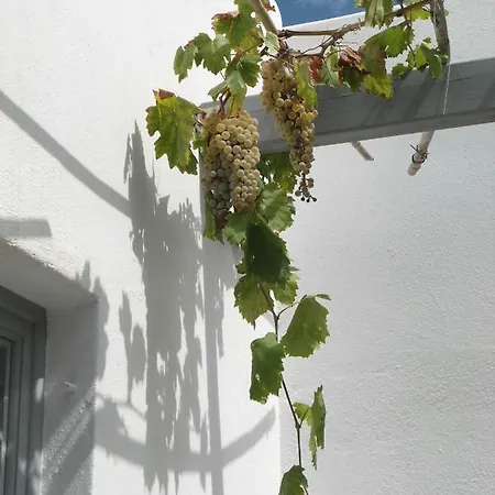 Wine & Wind *